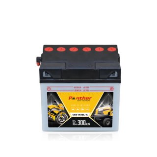 Starterbatterie Panter 12V 30Ah 300A/EN 53030 Aufsitzmäher Notstromaggregat Stromerzeuger Rasentrac