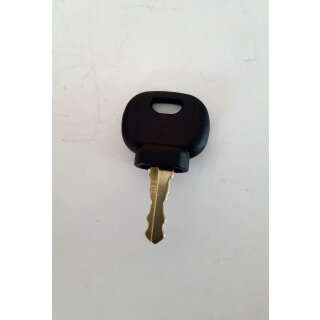 KEY Zündschlüssel14607  für Glühanlassschalter Glüh-Start-Schalter für Deutz IHC Same Case IHC MF