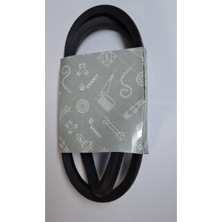 Keilriemen 17 x1250  für MTS Belarus 50 52 für  Lima WAPU